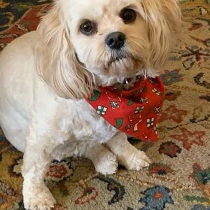 Meet your Posher, Mary